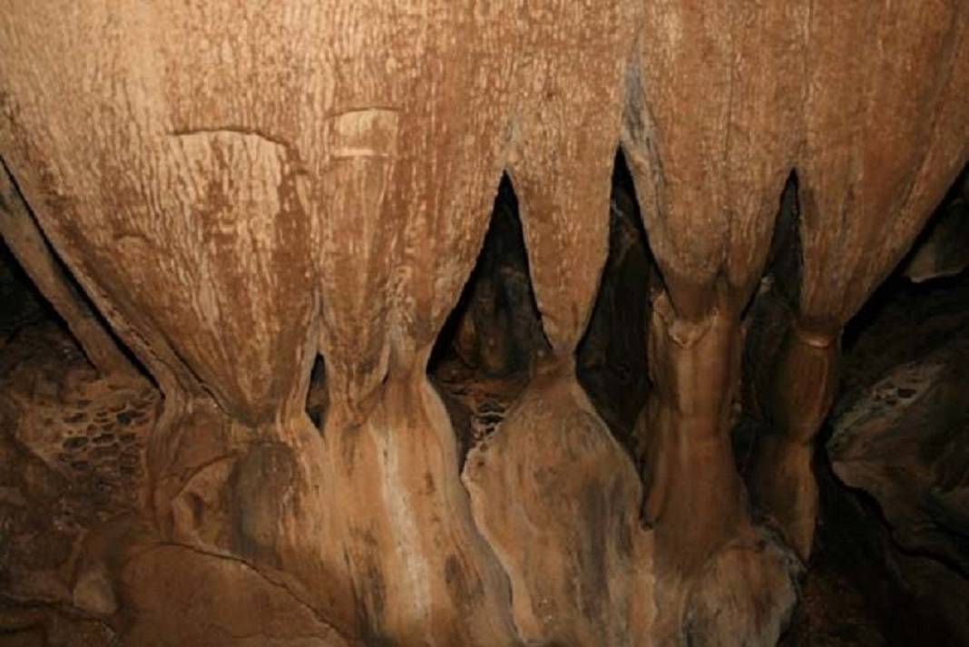 Konya'da heyecan arayanlar soluğu burada alıyor: Hassas hayvan türlerininde yuvası 10